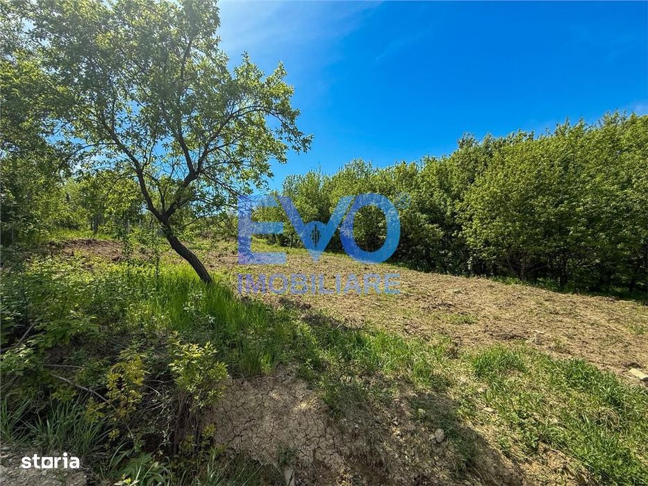 Teren intravilan, 1500 mp, zona Aroneanu Iasi