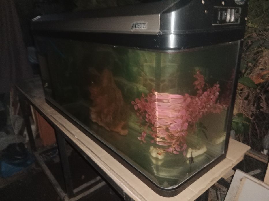 Заводской 210л аквариум.