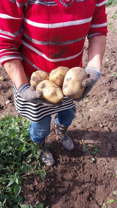Продам  или поменяю на квартиру  в павлодаре  ,дом. В районе  успенка.