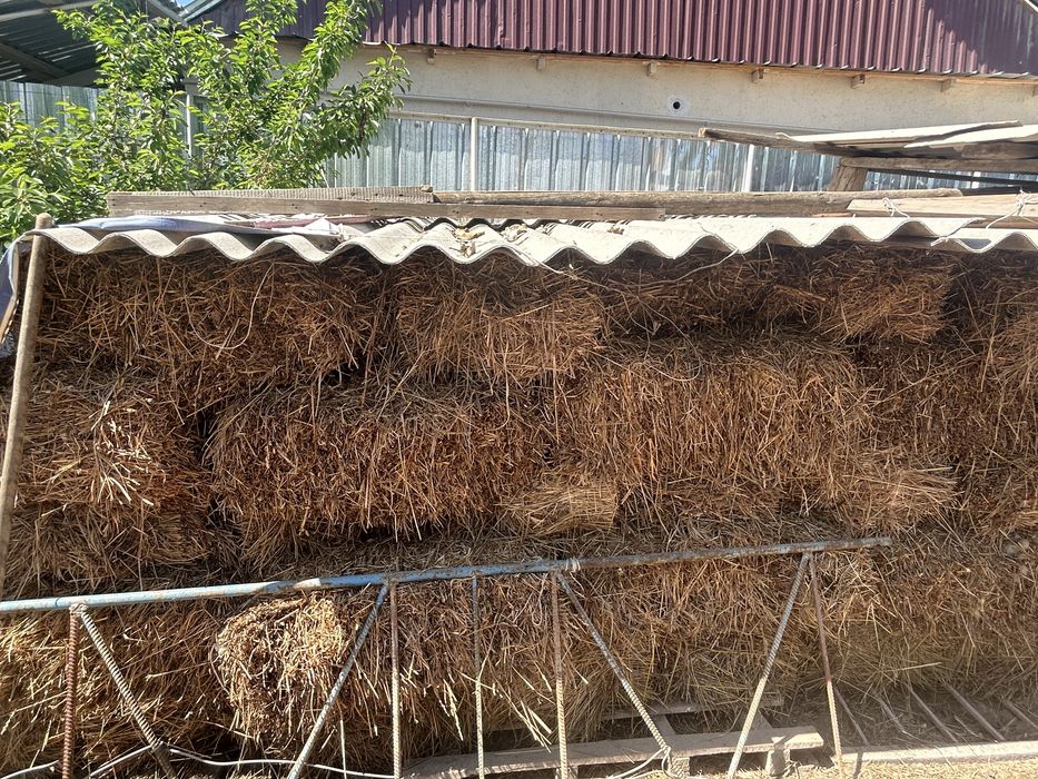 Продаёться сена тьюк 500тг