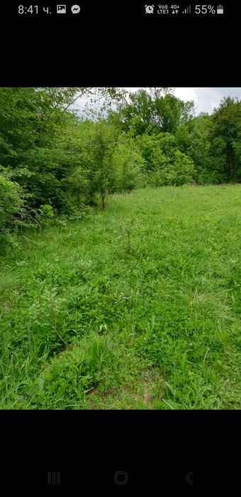 Продава се Парцел в Априлци - 2200 кв.м за 10 €/кв.м - Снимка #3