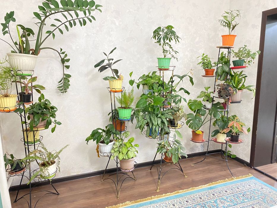 Стол и стулья.12.шт