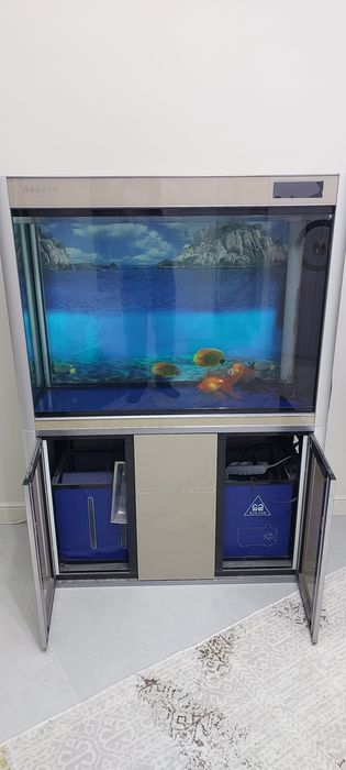 Продам аквариум,  рыбы.