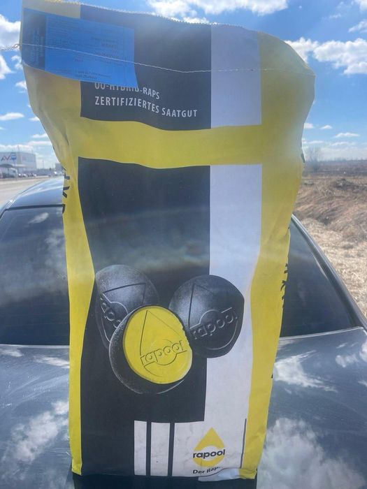 Продам семена рапса