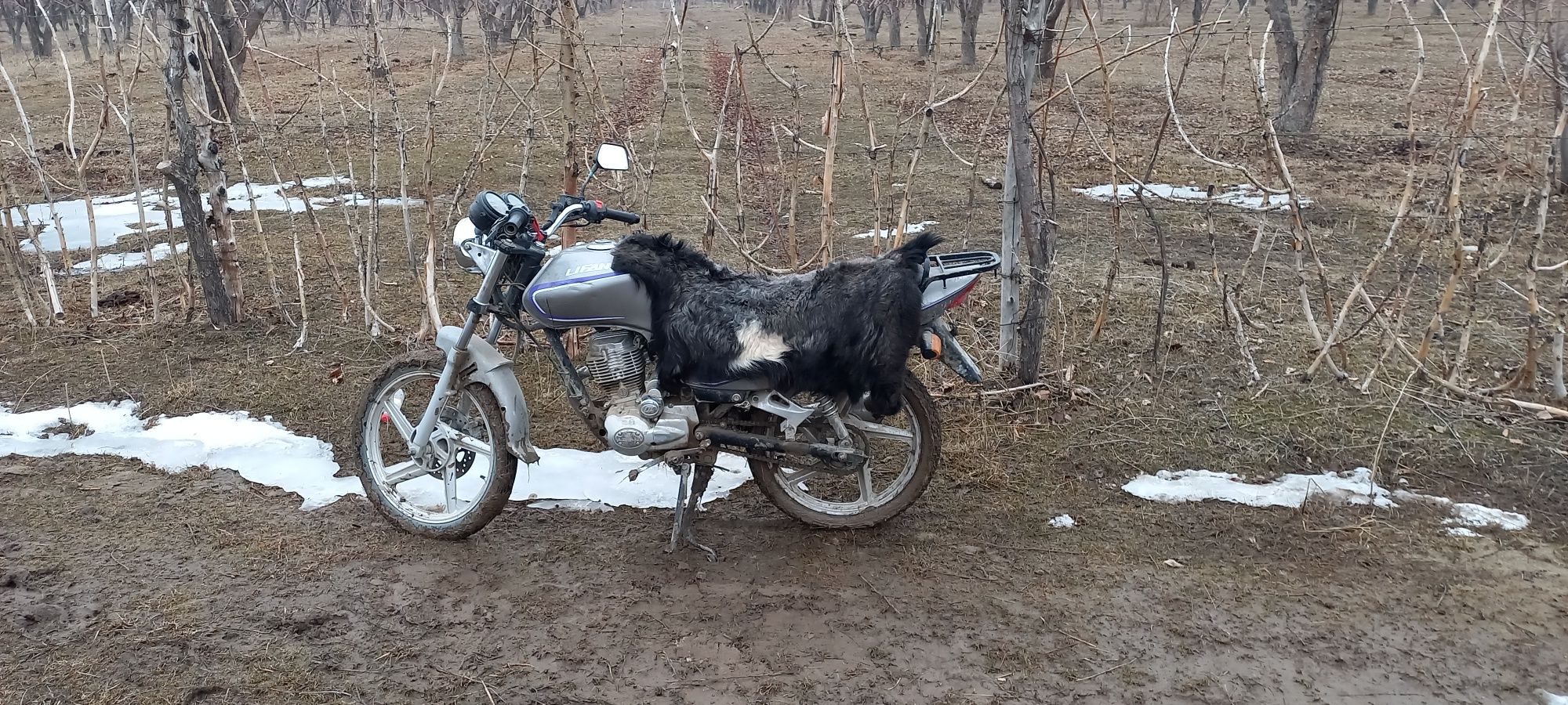 Купить мотоцикл в казахстане