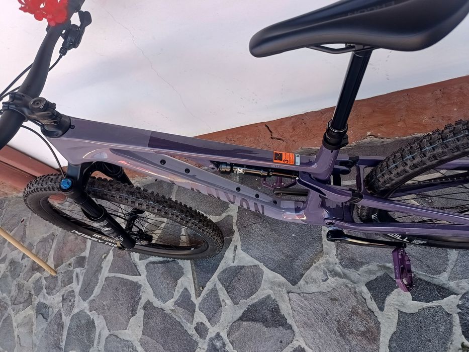 Canyon Neuron CF7 2024