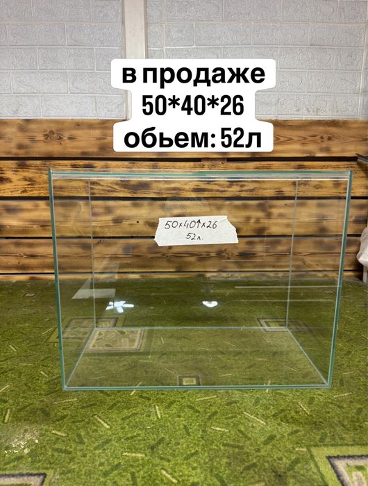 Аквариум.