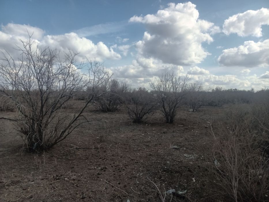 Участок Ягодка(Болашак)