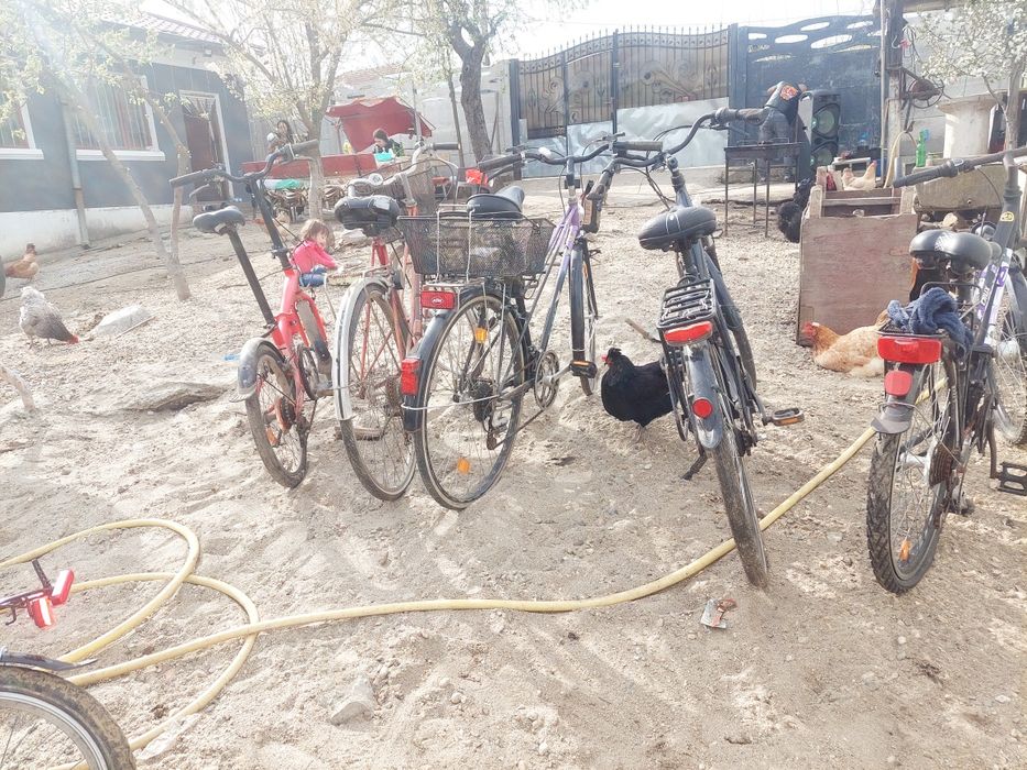 Biciclete de vanzare