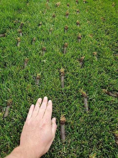 Aerator profesional pentru gazon (aerare gazon)