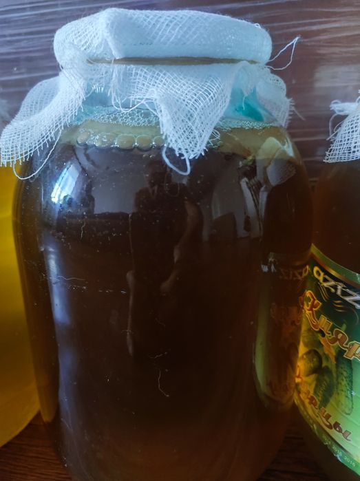 Продам домашний лимонад чайный гриб