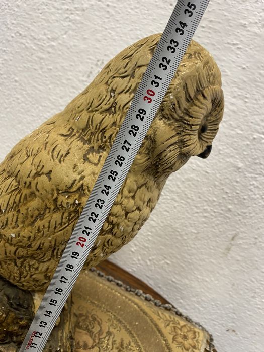 Стар холандски бухал нощна птица