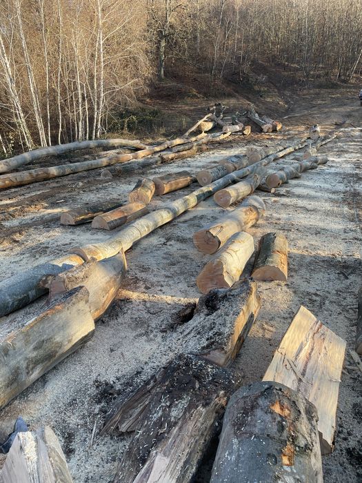 ‼️Lemne de foc de calitate superioară [Fag,Gorun,Carpen,Cer]