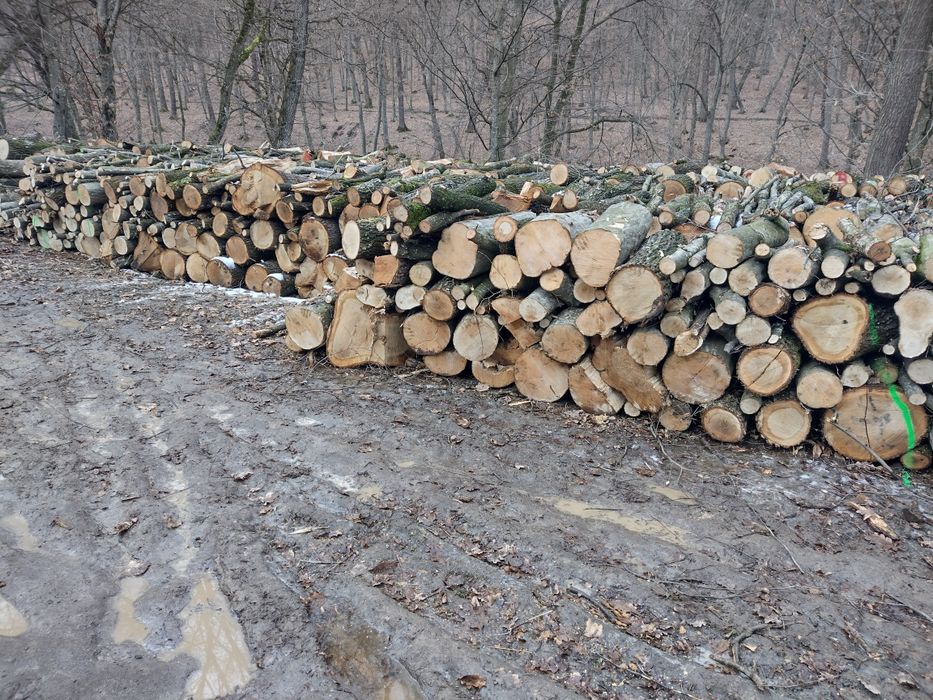 Lemne de foc esență