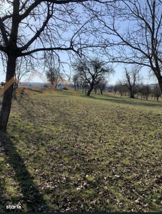 Tren intravilan, situat in zona numita Coasta, loc. Sindresti , com. D