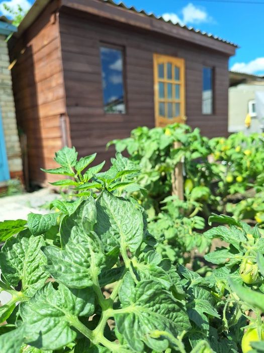 Продажа квартиры 1/2 части дома