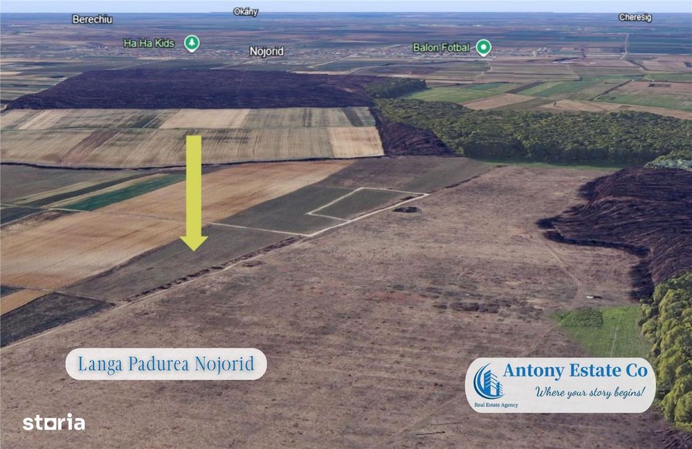 Antony Estate | Oportunitate de investitie - Teren Cihei, langa Padure