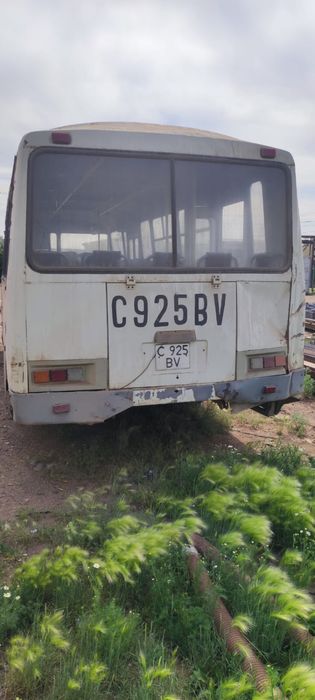 Автобус ПАЗ 4234