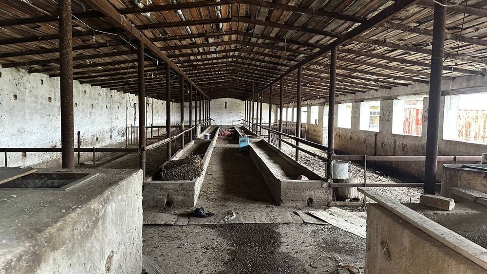 Продаётся срочно ферма не далеко от Ташкента.