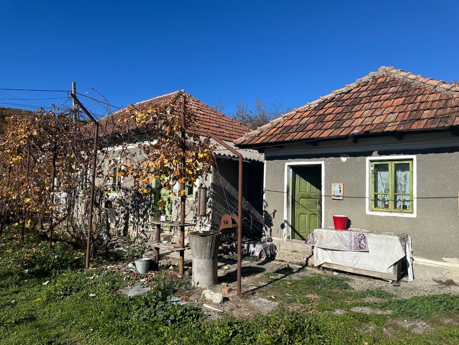 Casă bătrânească + casă nouă la roșu, teren 6.900 mp – Cotmeana, Argeș