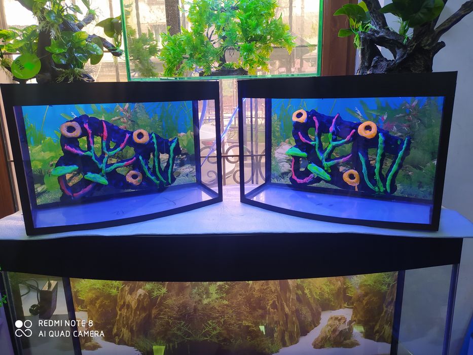 Akvarium yengi 20 litr