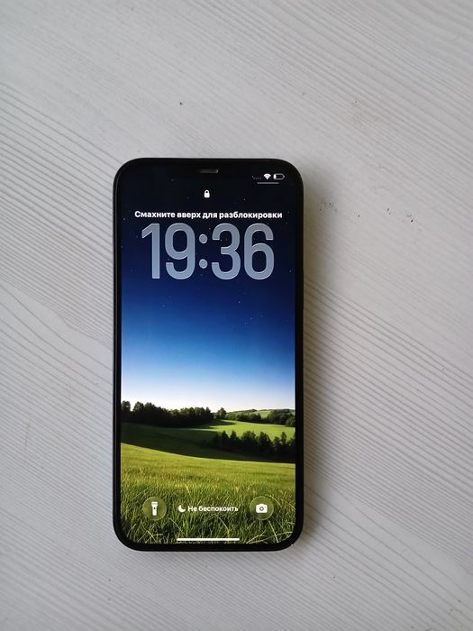 IPhone 12 pro max