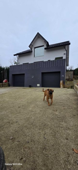 Vila D P M sos barnova