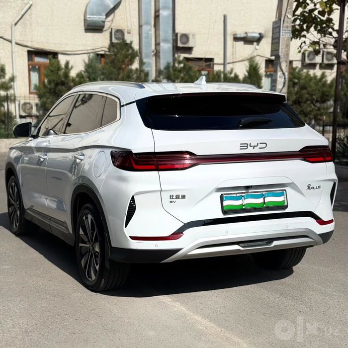 BYD Champion Restaling