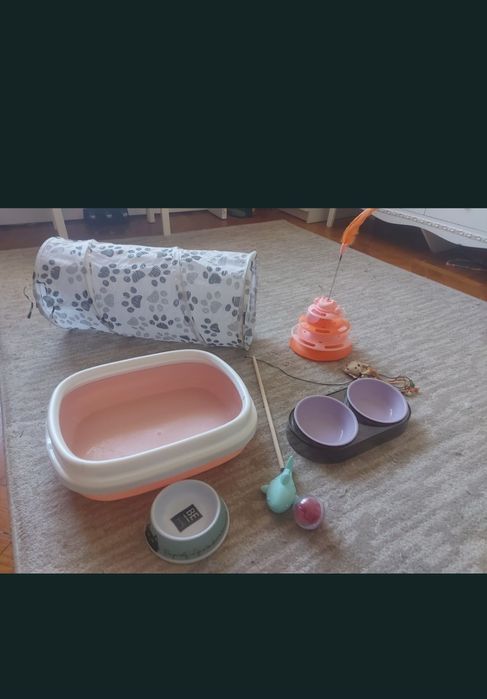 Litiera,  accesorii pisici