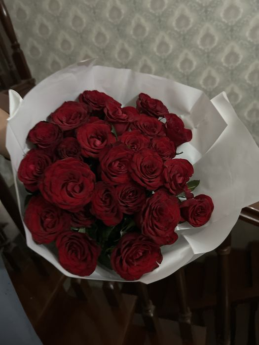 цветы розы свежие 25шт