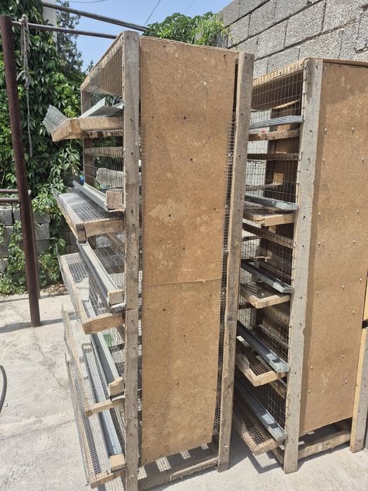 Бодене балапан клеткасы