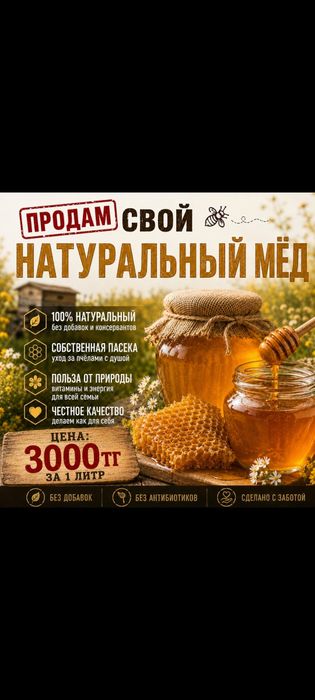 Мёд подсолнечника натуральный