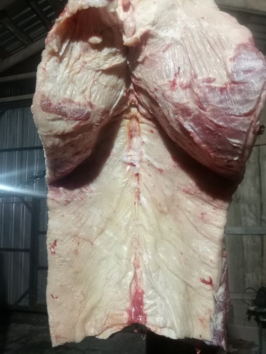 Конина. Мясо. Ет.