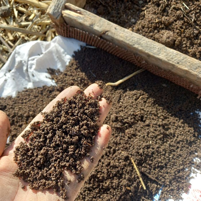 Биёгомус сотилади 1000 сум