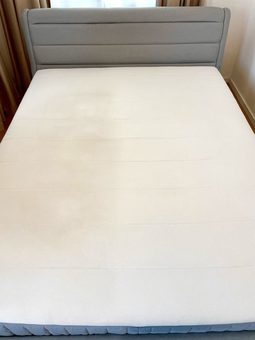 Curatare, spalare si igienizare Canapea/Canapele