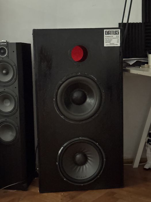 Subwoofer Bass Extreme (se simte in piept) 2 ohmi 700w rms