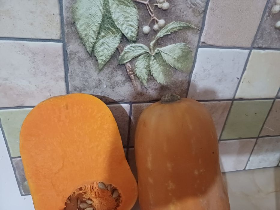 Асқабақ    тыква