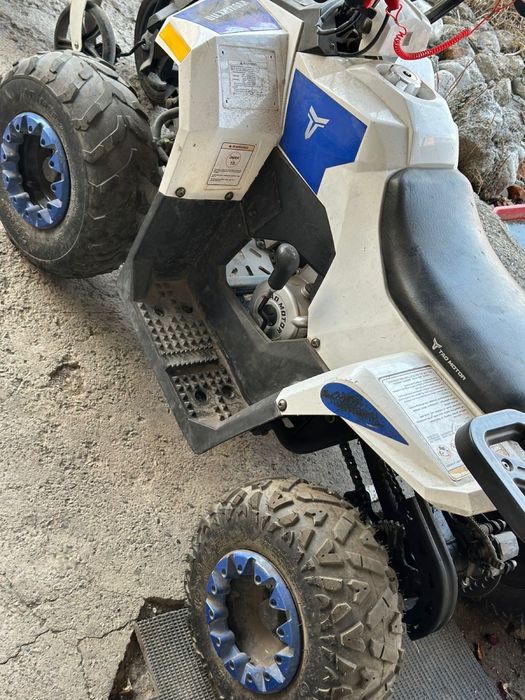 квадроцикл 110cc (Tao Motor Mudhawk).