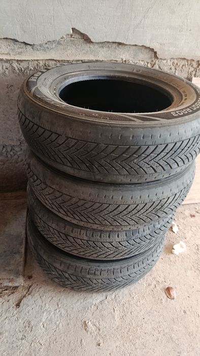 Archa balon 13 holati o'rta