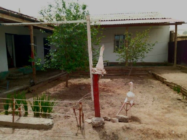 Тахиаташ матросов 25