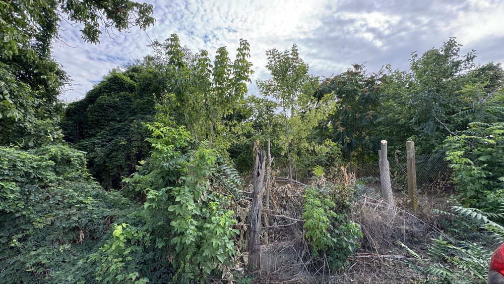 Къща с двор и геран