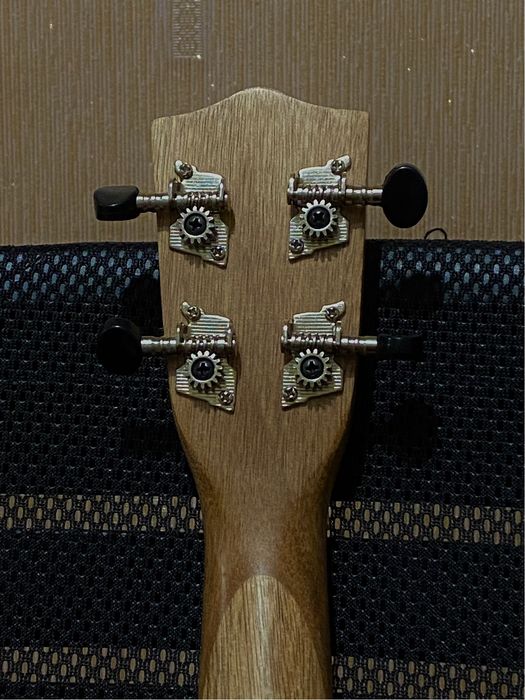 Укулеле Концерт