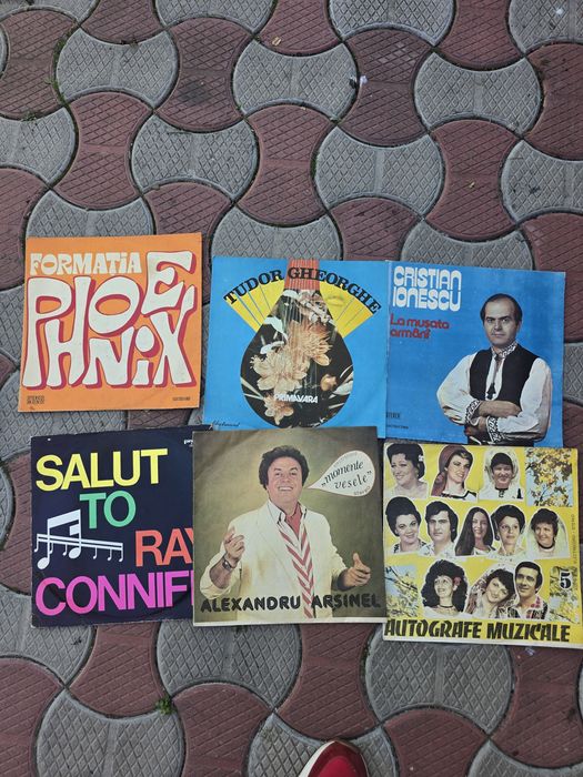 Discuri vinil si pick-up