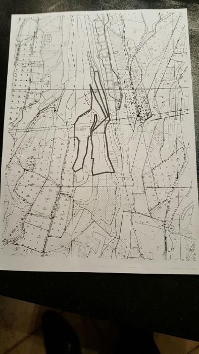 Продаю землю крестьянское хозяйство