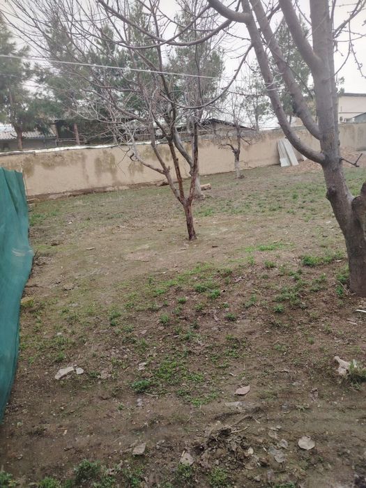 3 сотих  курук ер сотилади