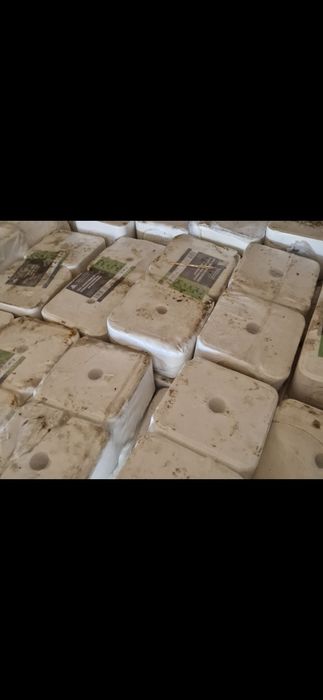 Малға арналған тұз Бауырластар 2