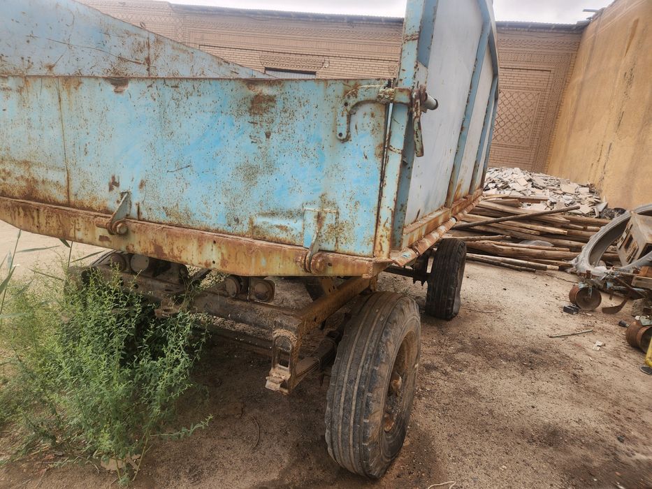 Трахтир телашкаси