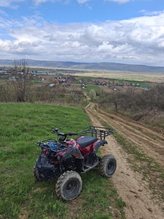 Vănd atv 110cc pentru copii