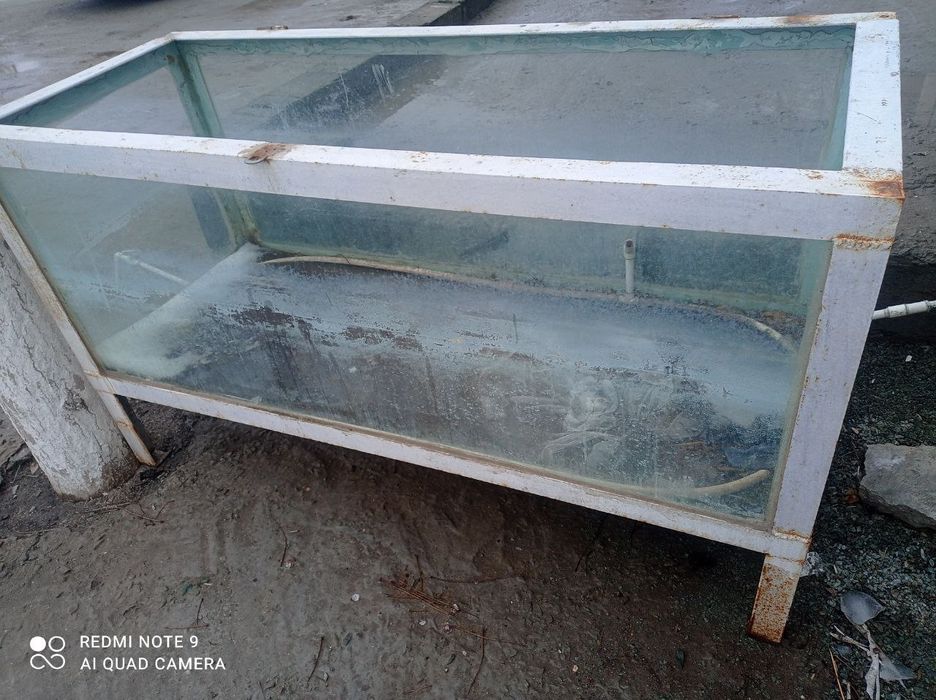 Akvarium sotiladi.Аквариум