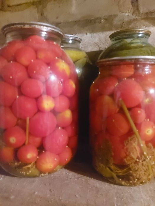 Соления  заготовки